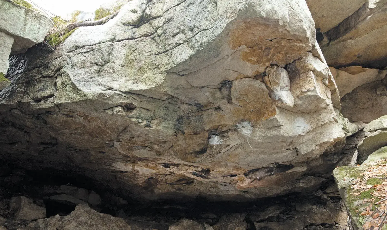 Badger on the Badger Cave boulder