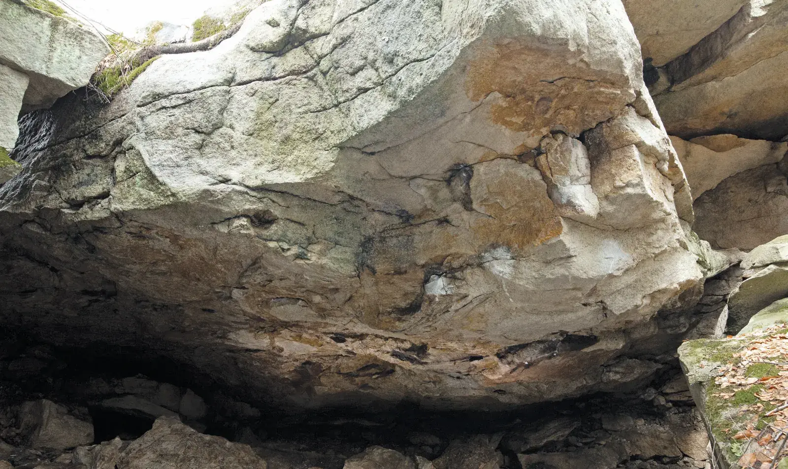 Problems on Badger Cave