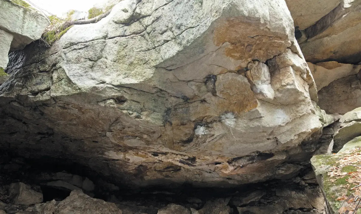 Badger on the Badger Cave boulder