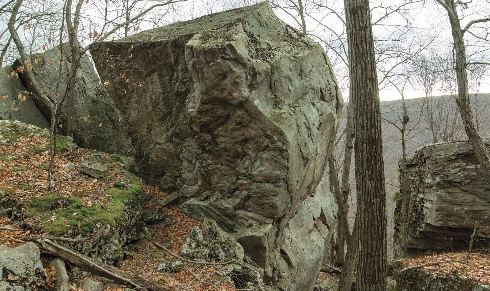 Dead Cat Bounce on the Cat Boulder (front side) boulder