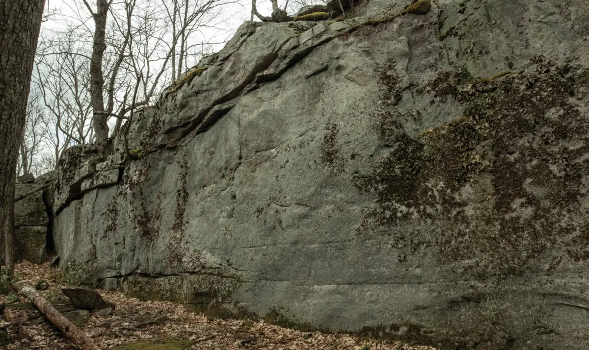Problems on Cliffside, left side