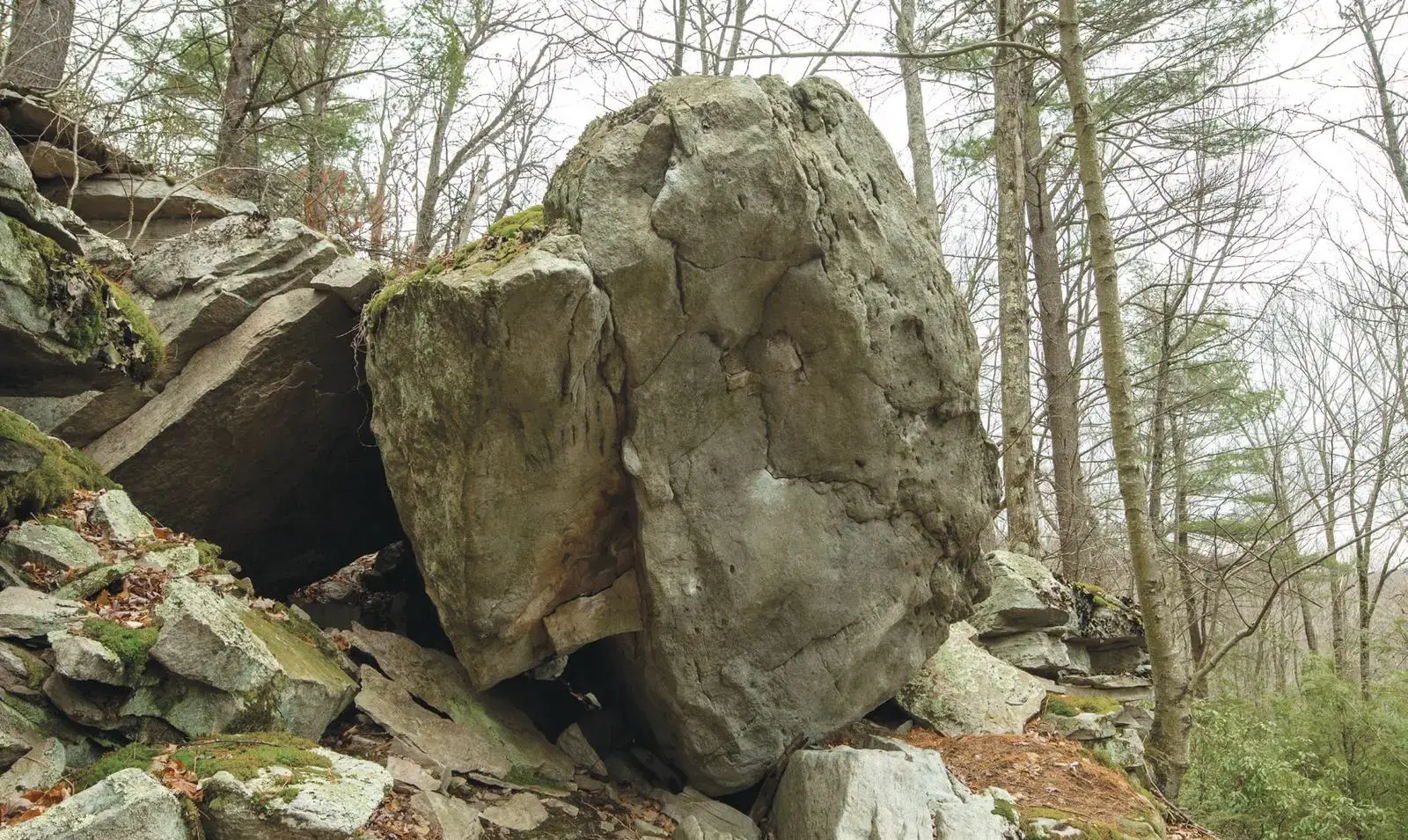 Inchworm on the Sleepy Head Boulder boulder