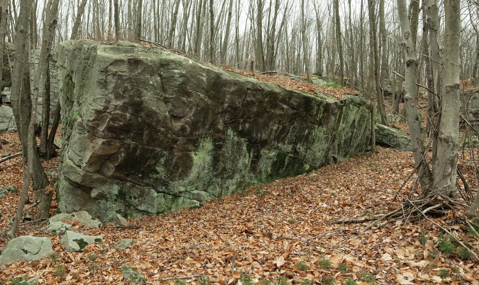 Umbrella on the Slug Boulder boulder