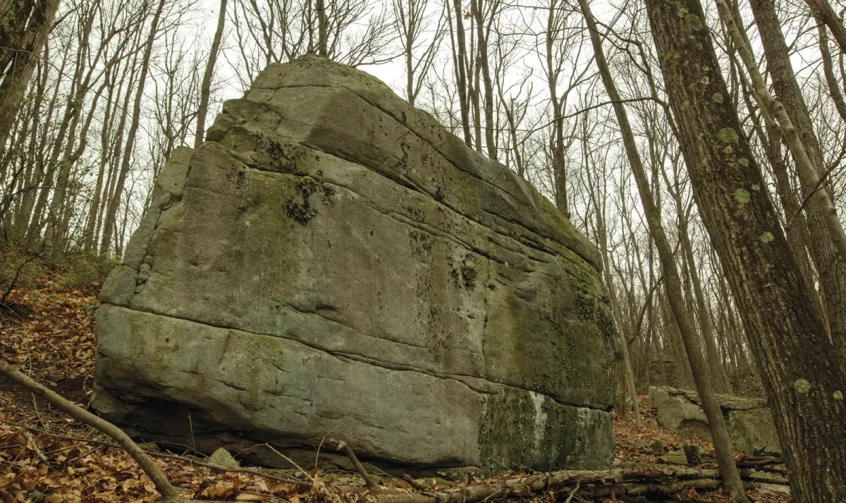 Bumpy Ride on the Trailside Boulder (down hill face) boulder
