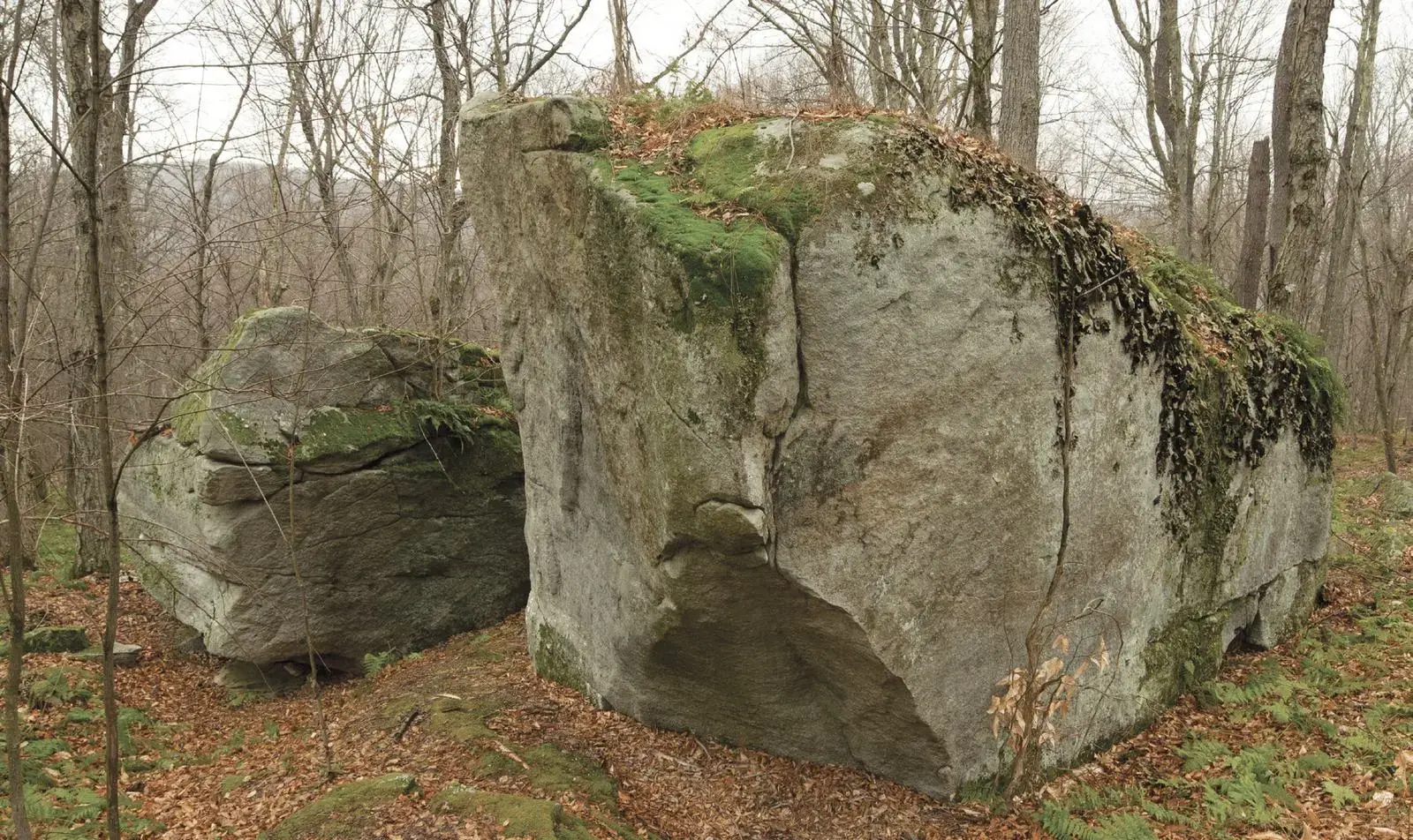 Monochistic on the Vulcan Boulder boulder