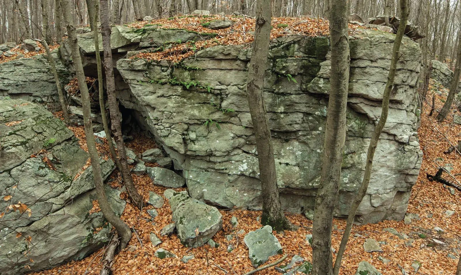 Problems on Carbon Boulder
