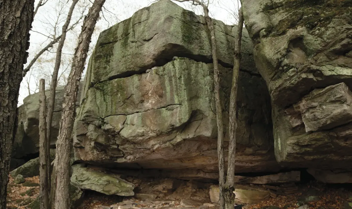Wolverine on the Cave Bottom boulder