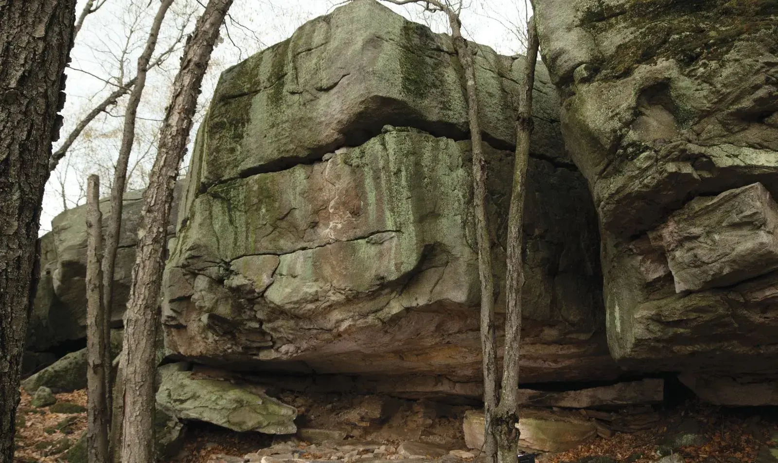 Wolverine on the Cave Bottom boulder