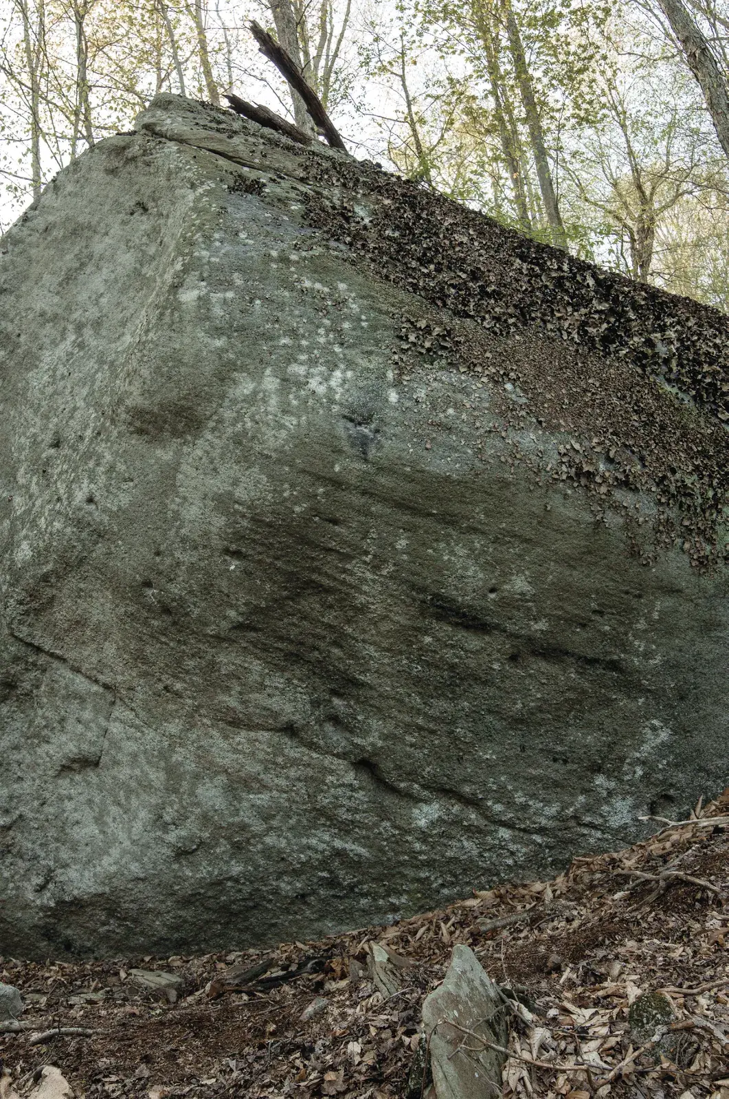 Problems on Gritstone Project