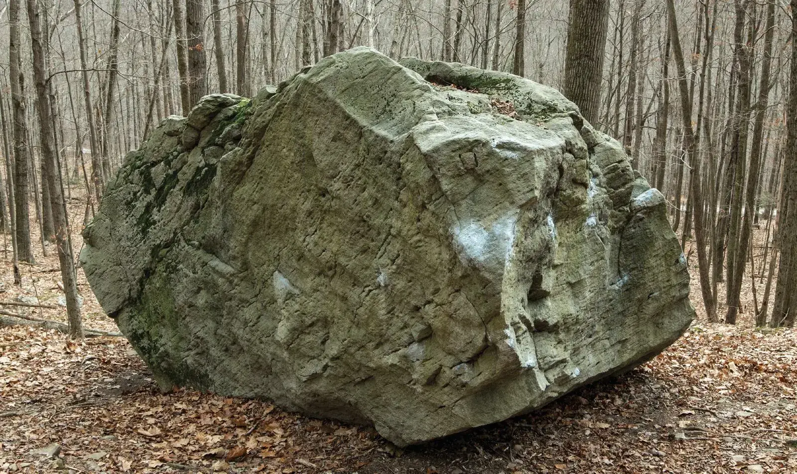 Malaria on the Mosquito Boulder (backside) boulder