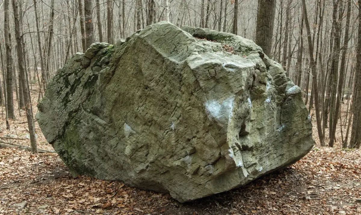 Tortoise Face on the Mosquito Boulder (backside) boulder