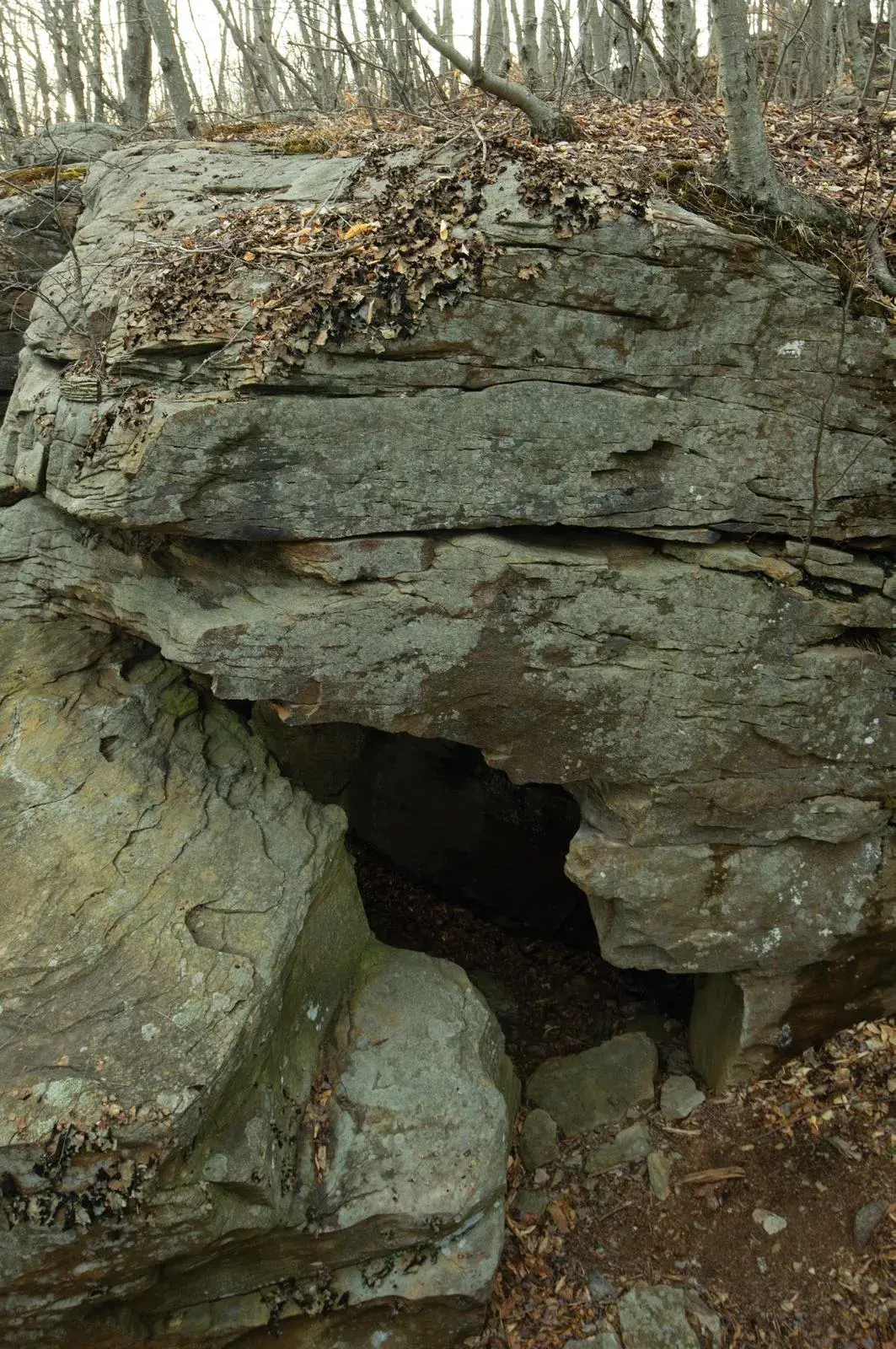 Scar Tissue on the Scar Tissue boulder