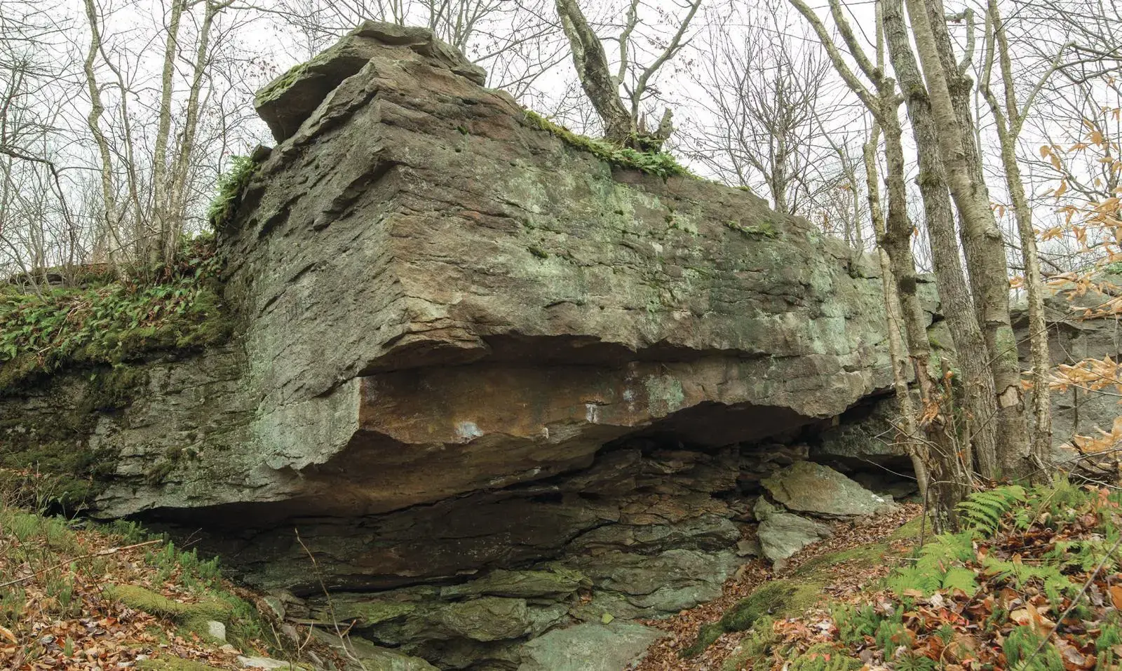 Abiogenesis on the The Bear Den boulder