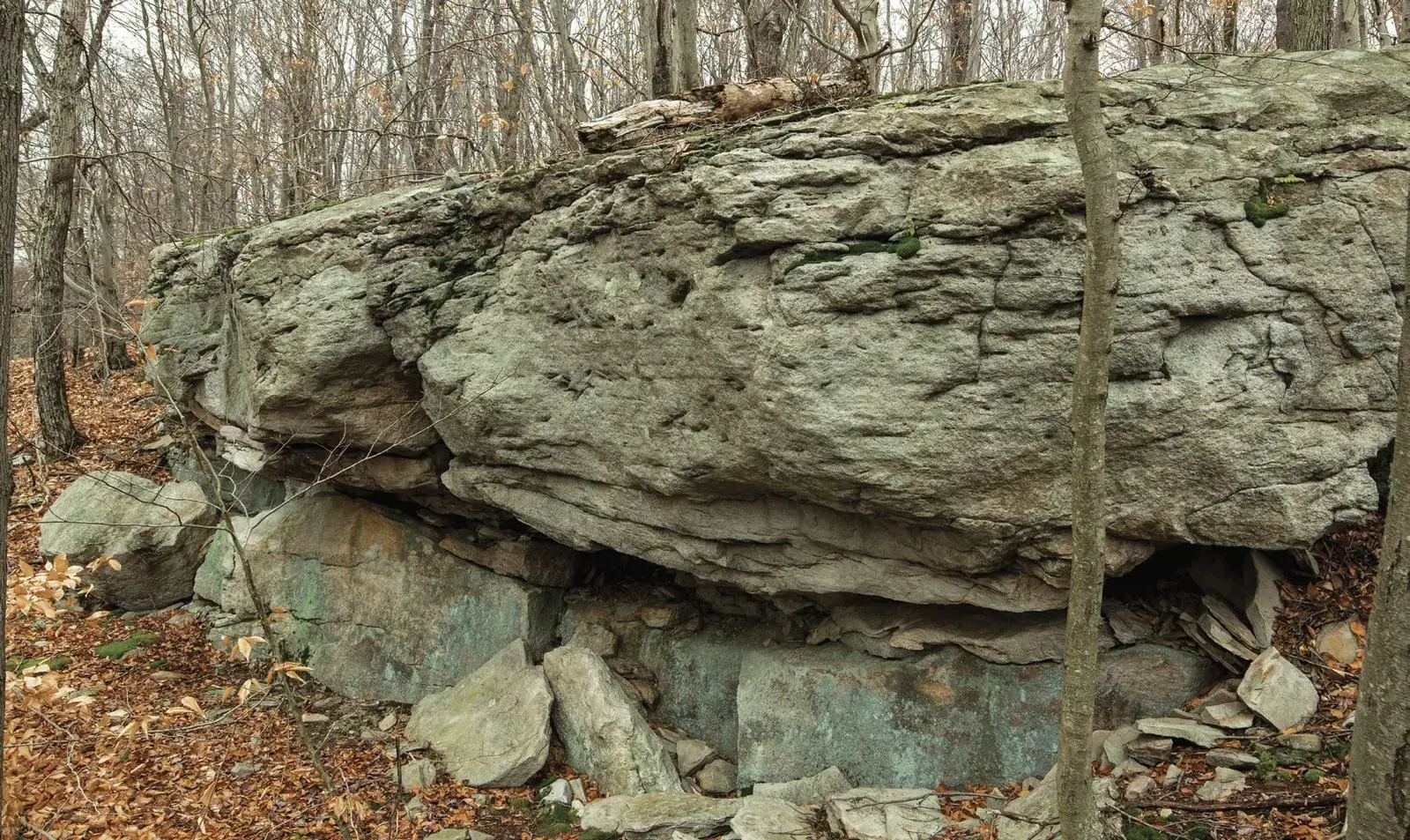 Odysseus on the Troy Zone boulder