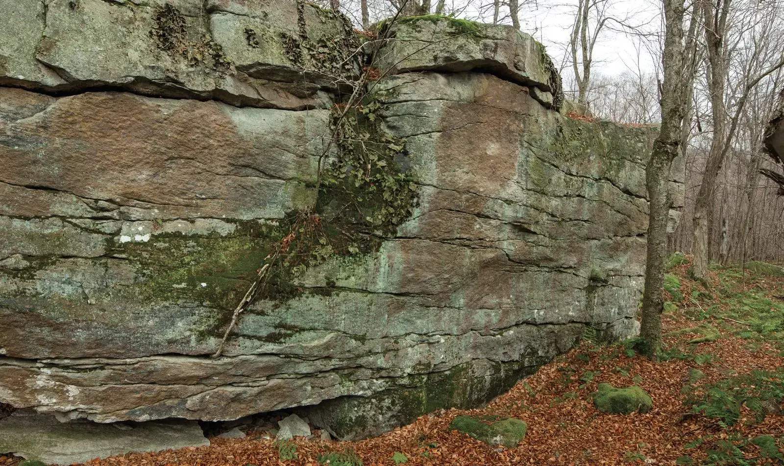 Ill Will on the Woman King (continued) boulder