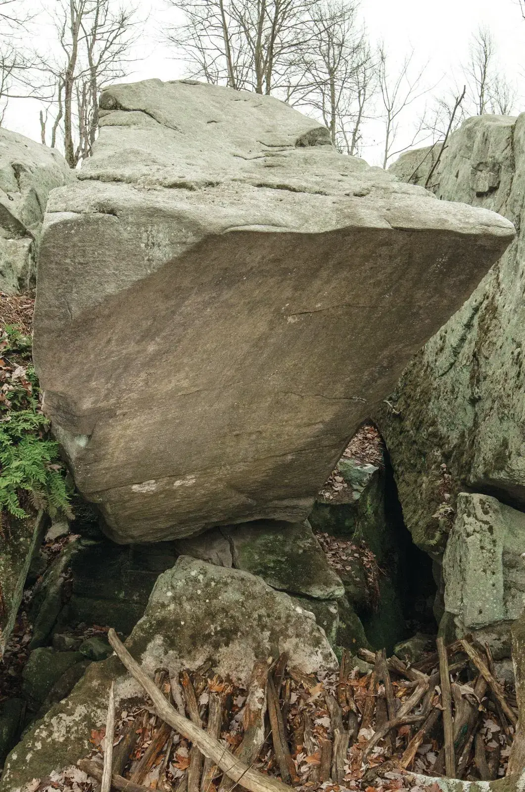 LeRoy (The King) on the LeRoy (The King) boulder