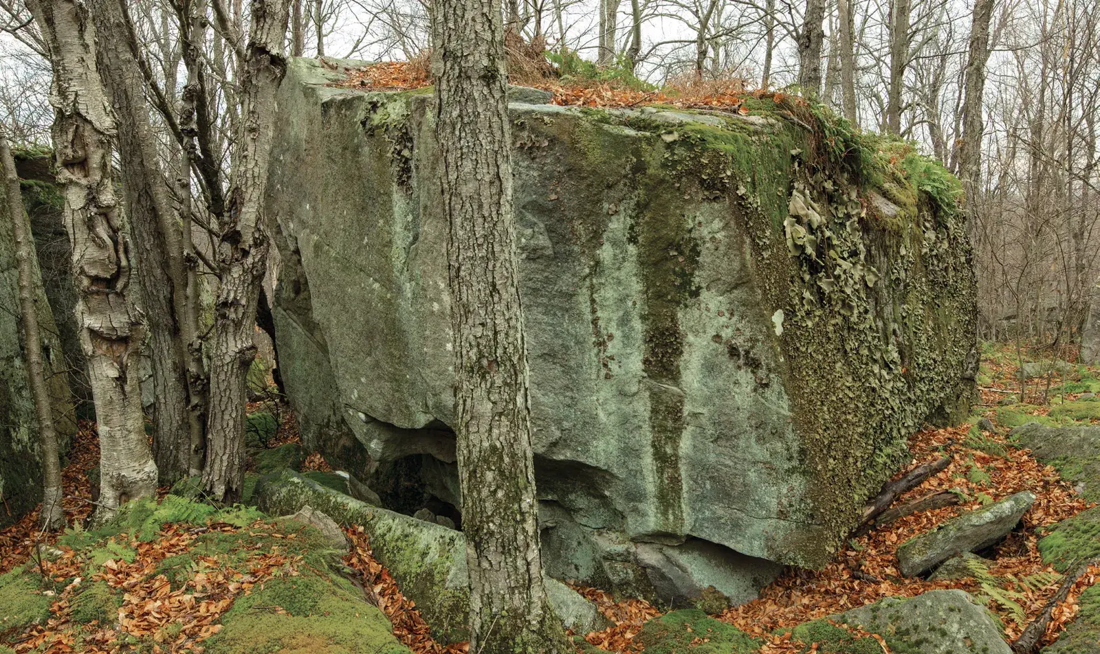 Problems on Turtle Boulder