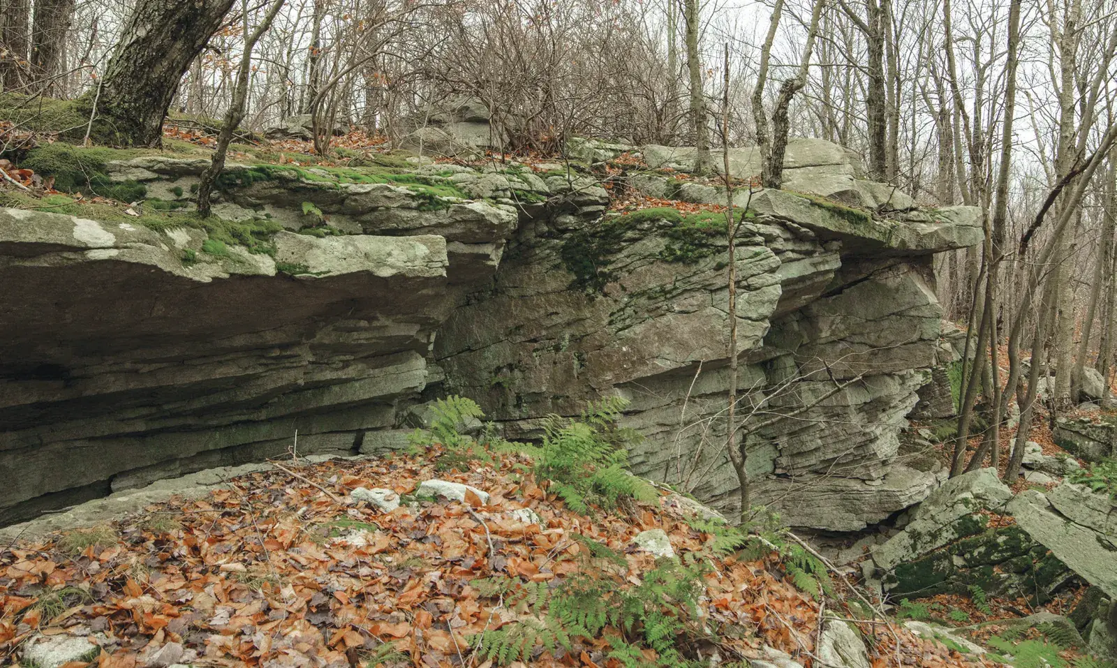 Problems on Cliffside