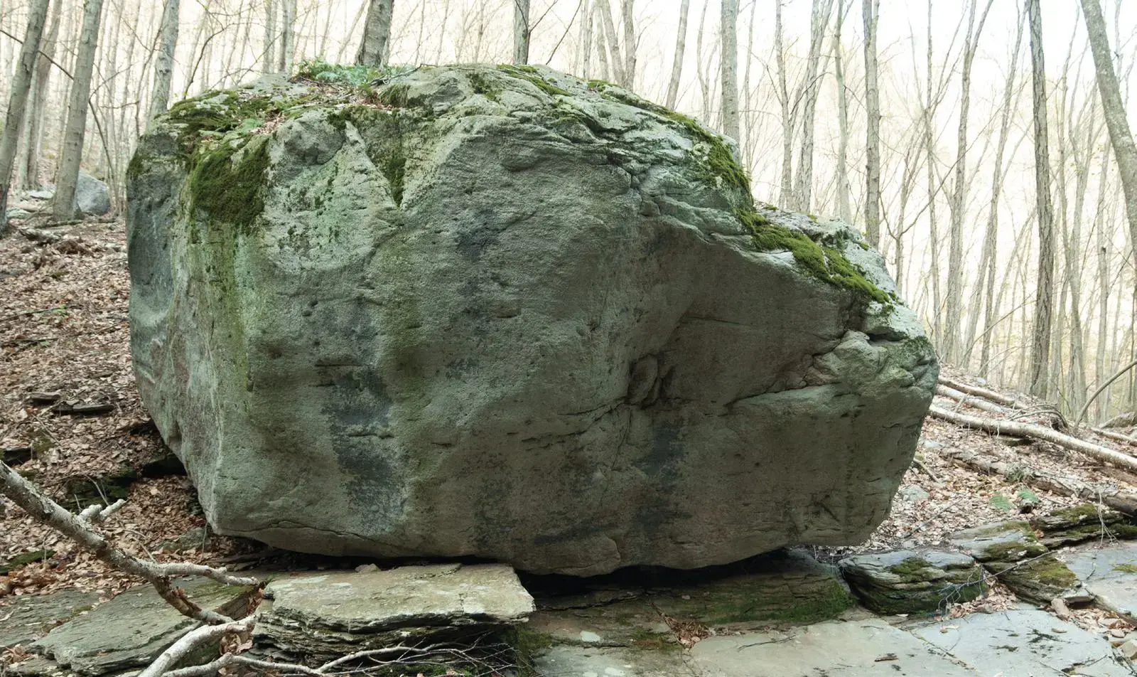 Sleestack on the Sleestack Boulder boulder