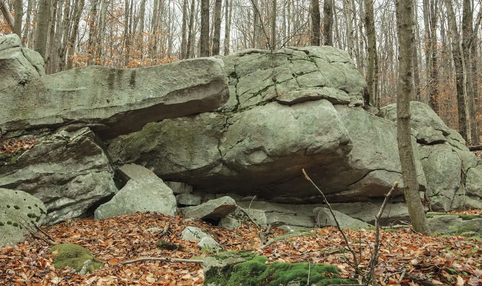 Chuck Testa on the Testa Zone boulder