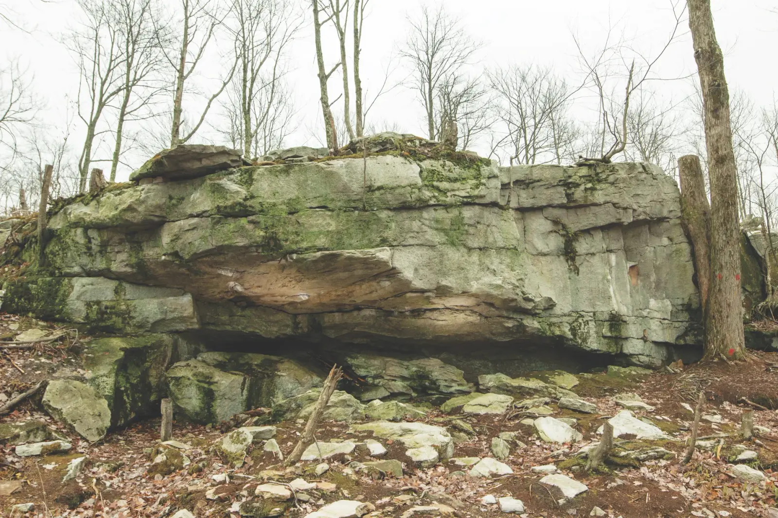 Wheel of Sunfish on the The Cave boulder