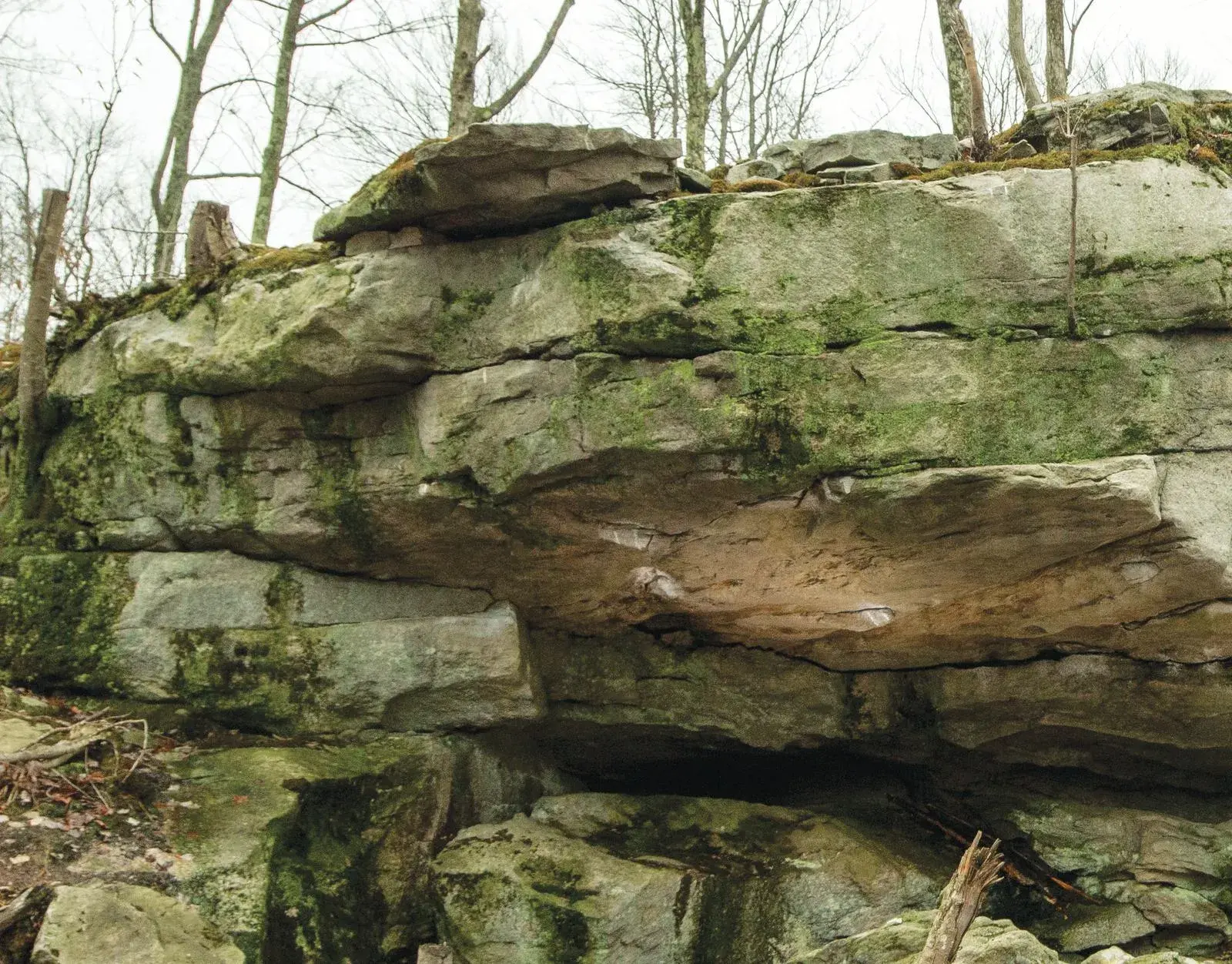 Tree Line on the The Cave boulder