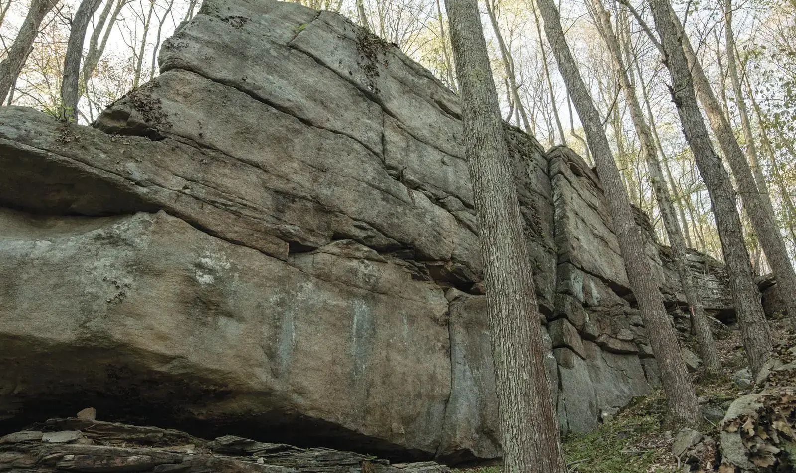 Anna S. on the Anna S Boulder boulder