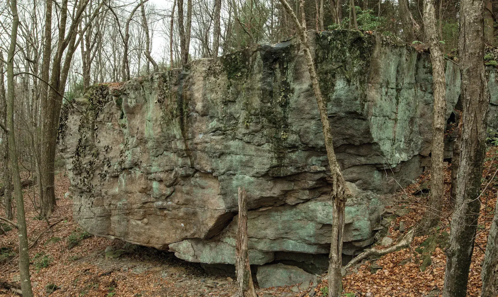 Problems on Tallest Boy, south face