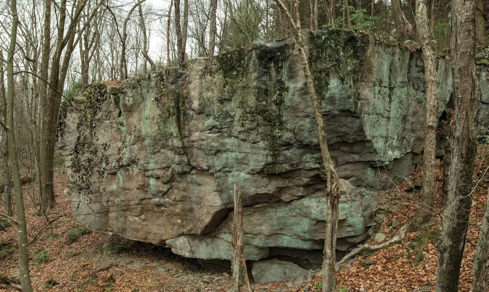 Rose Face Project on the Tall Boy (south face) boulder