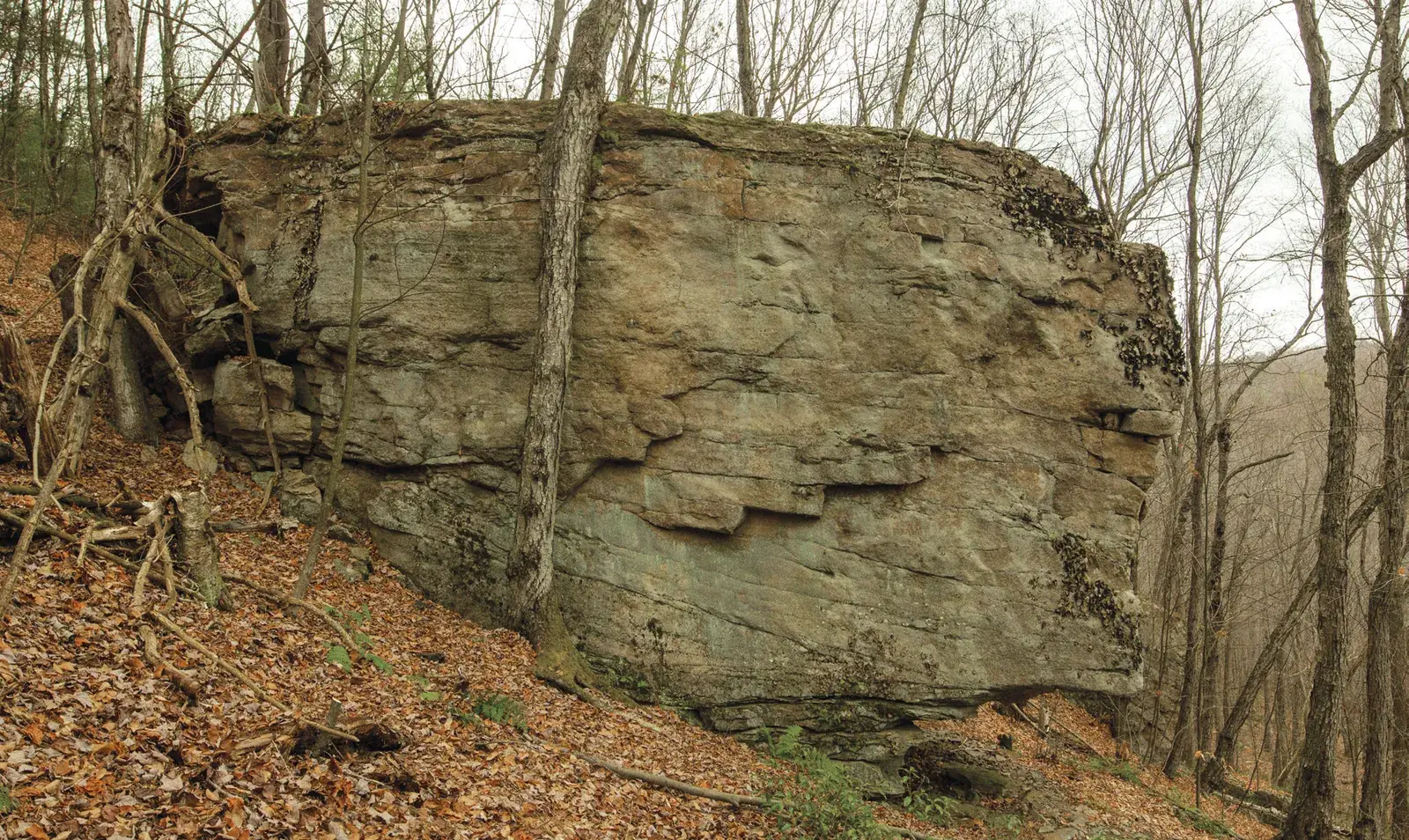 Problems on Tallest Boy, south face