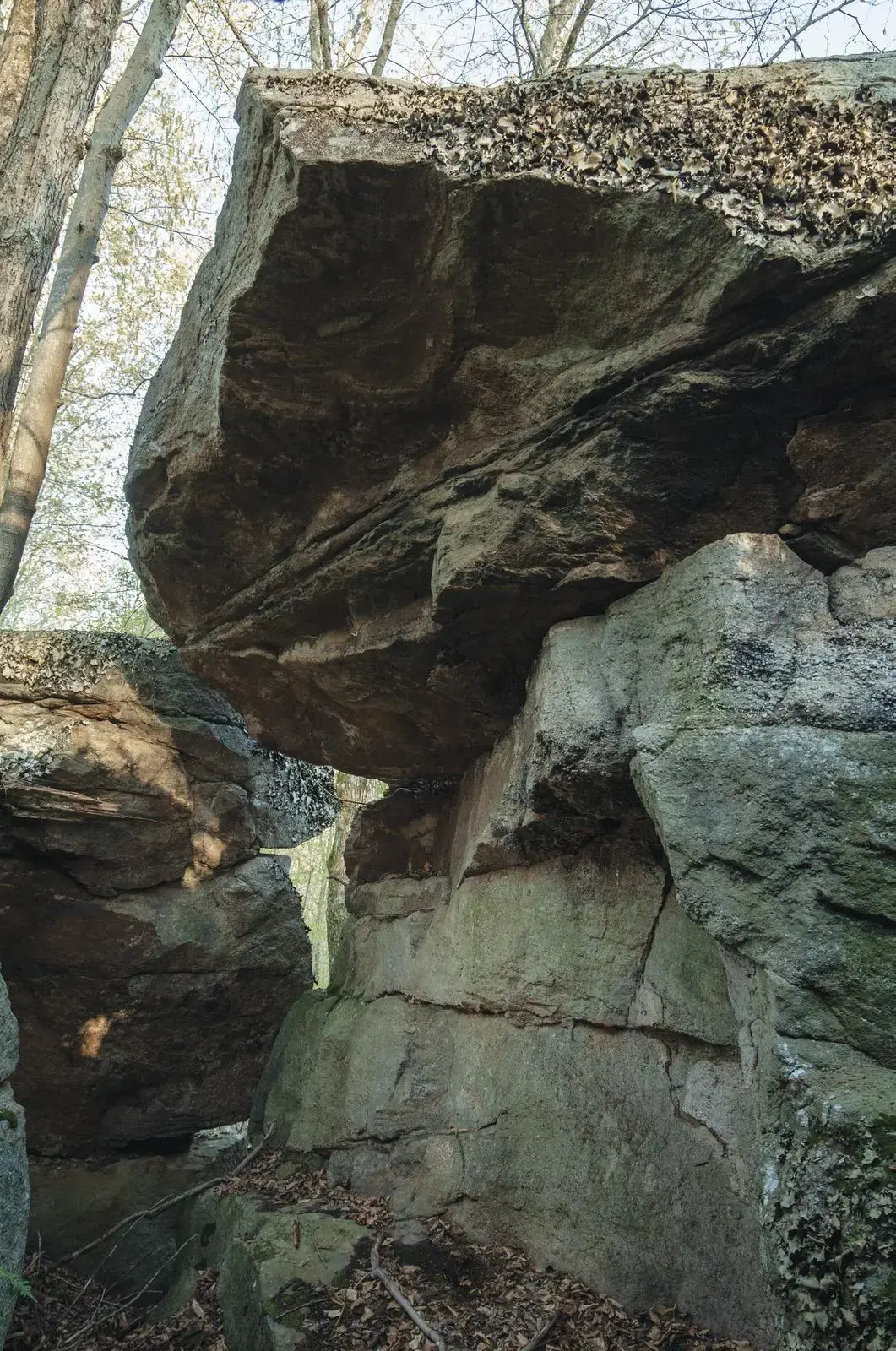 Derr Project on the Derr Project boulder