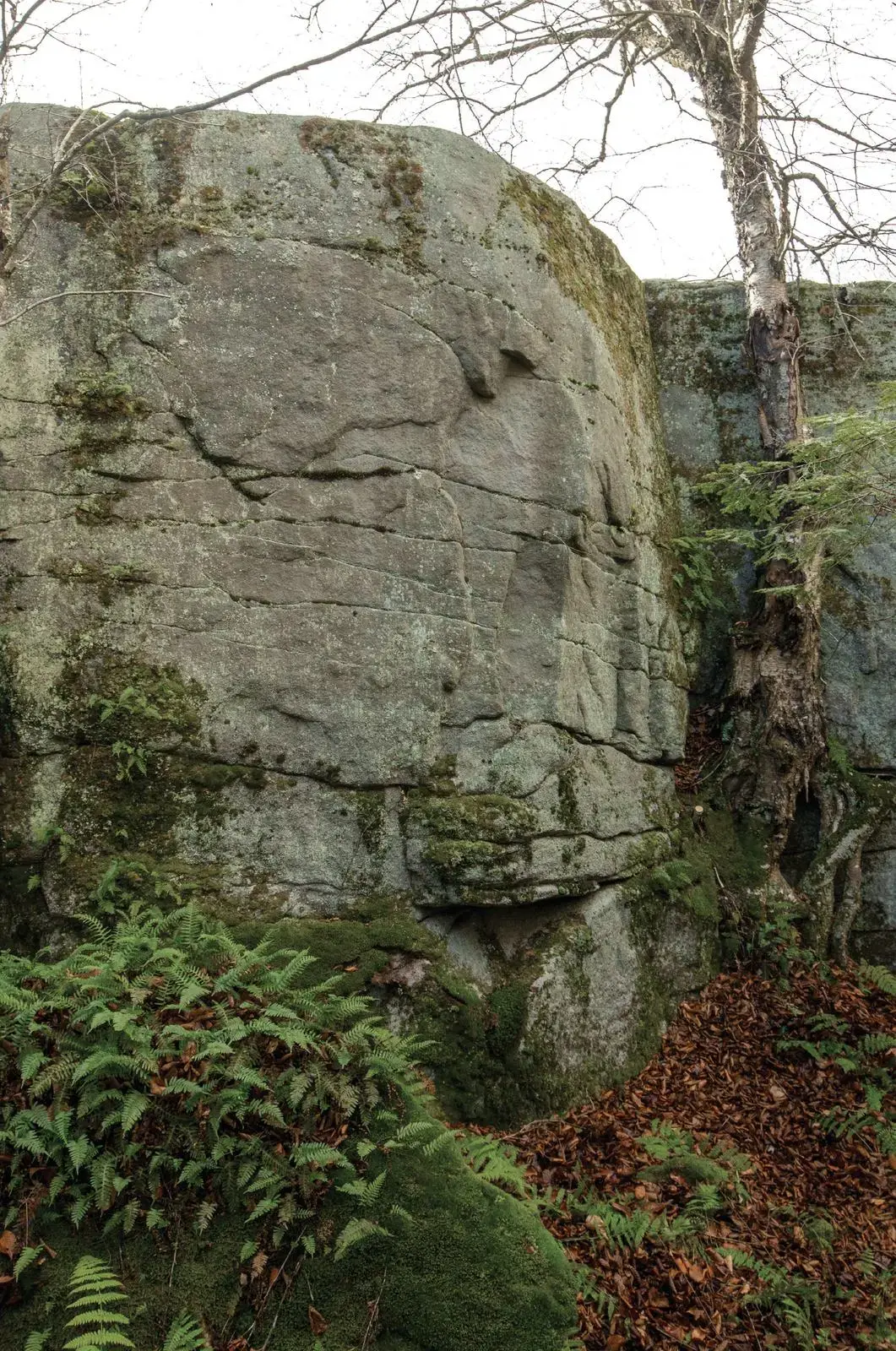 Undone Face on the Undone Face boulder
