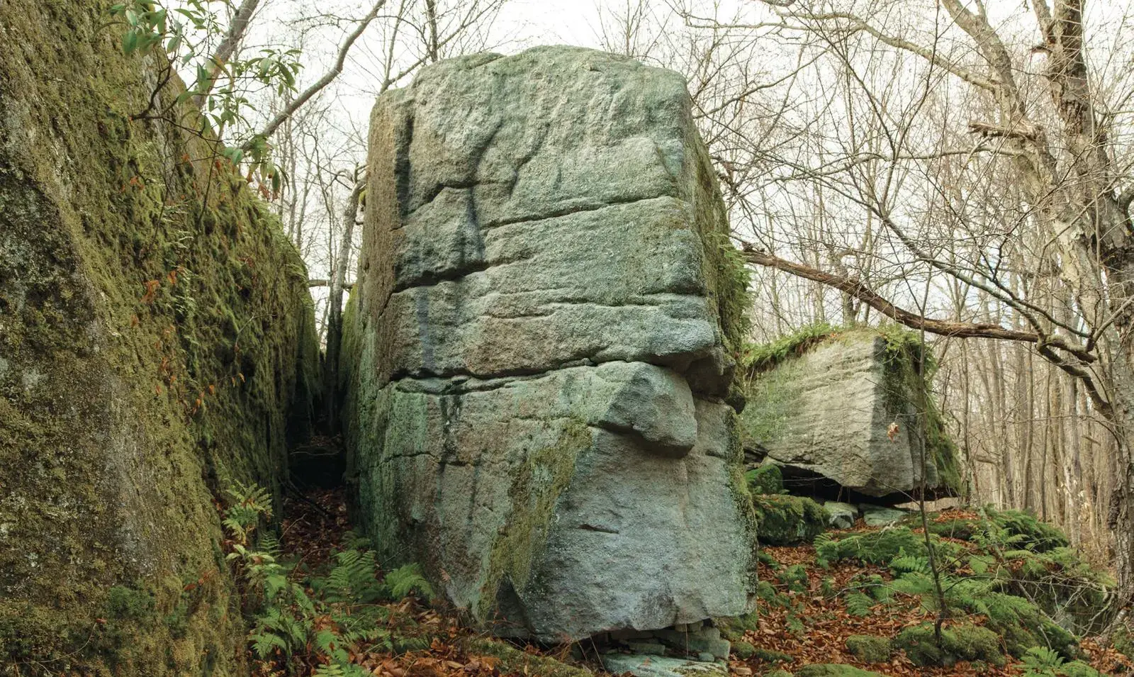 Fuzz Face on the Chocolate Boulder boulder