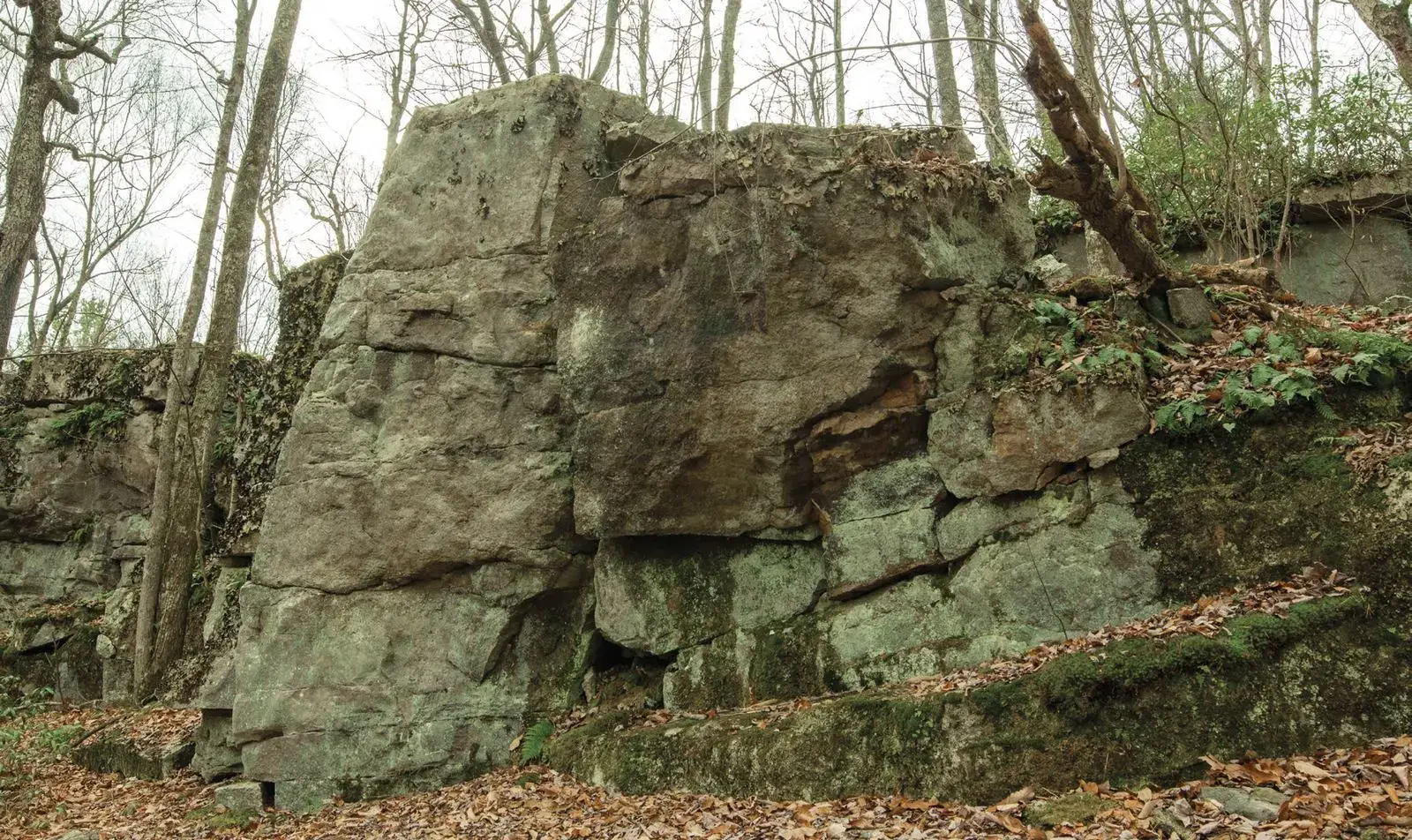 Bottom Feeder on the Bottom Boulder boulder