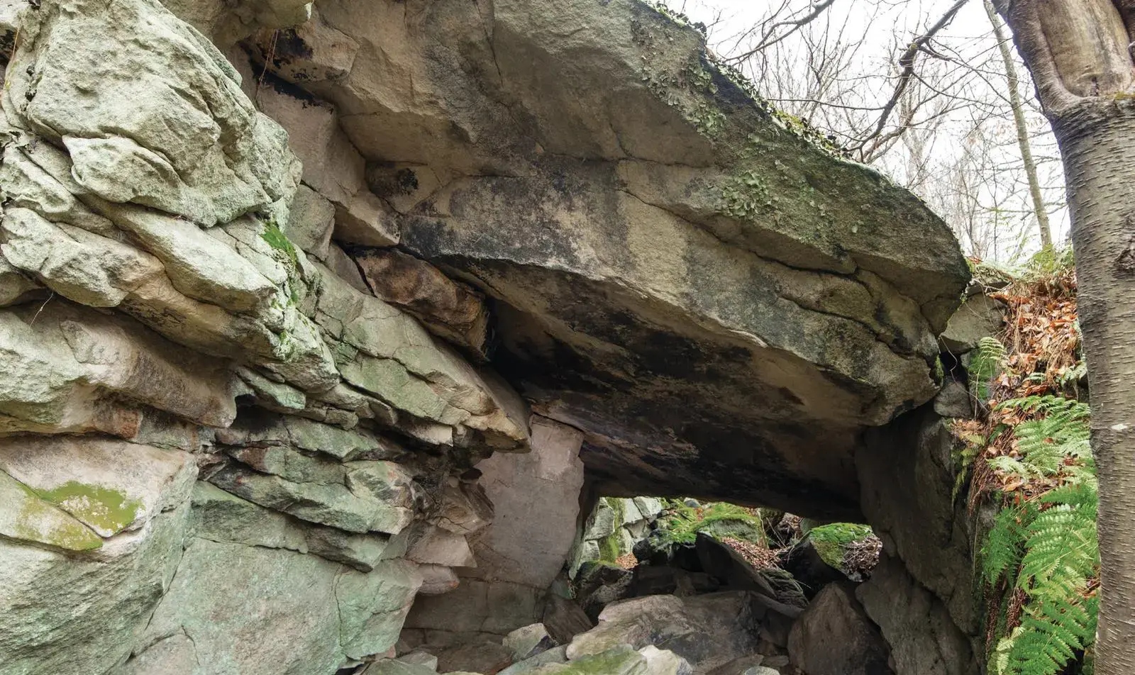 Cleavage on the Tits Boulder boulder