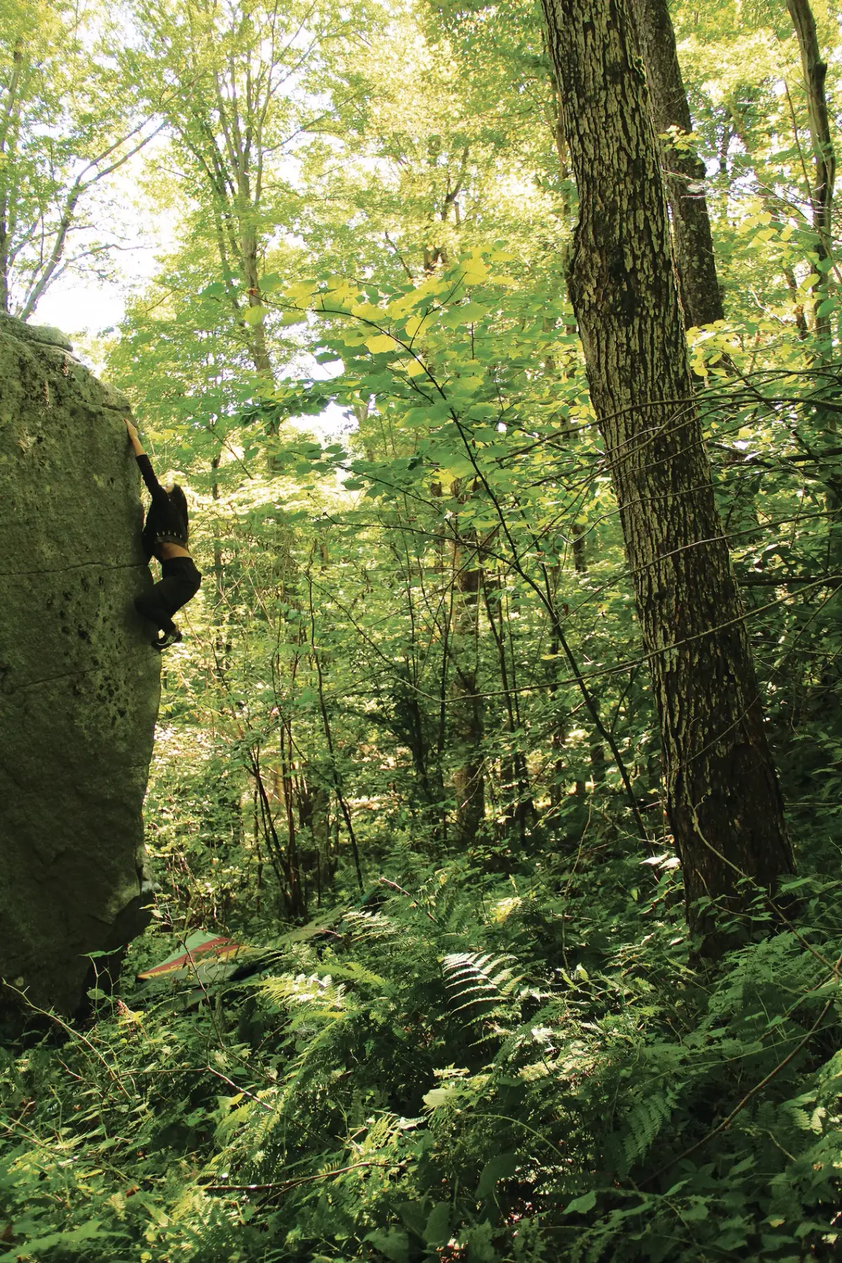 Climbing Old Mines