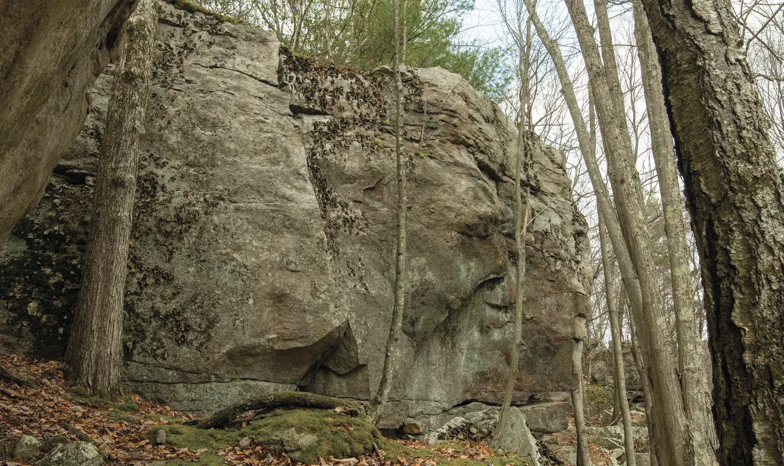 Problems on Highball Wall