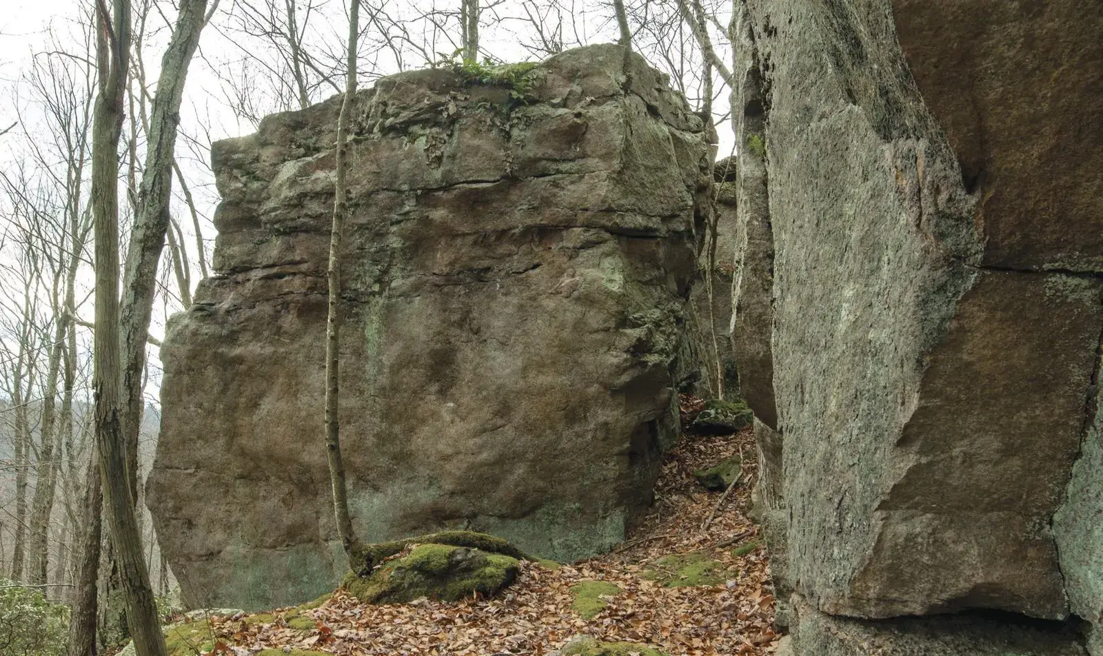 Pocket Protector on the Pocket Boulder boulder