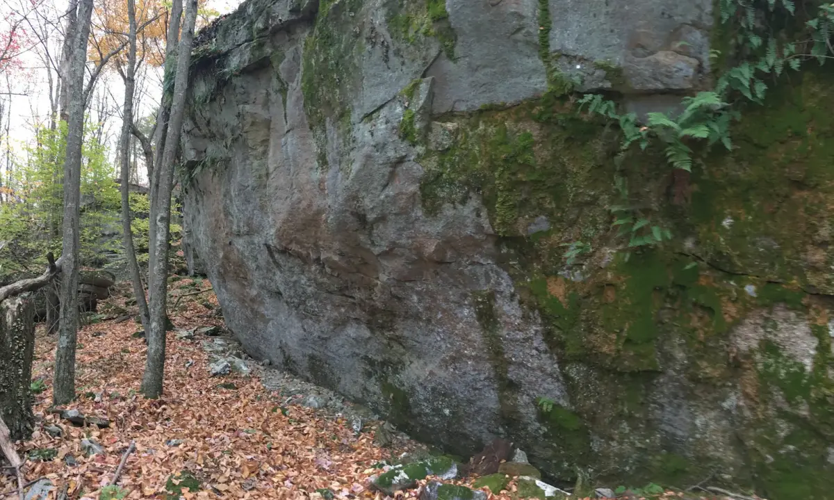 Rose Face I on the Rose Wall boulder