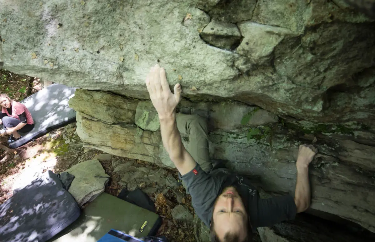 Climbing Tender is the Night