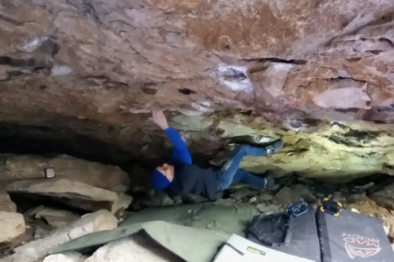 Trimming Claws