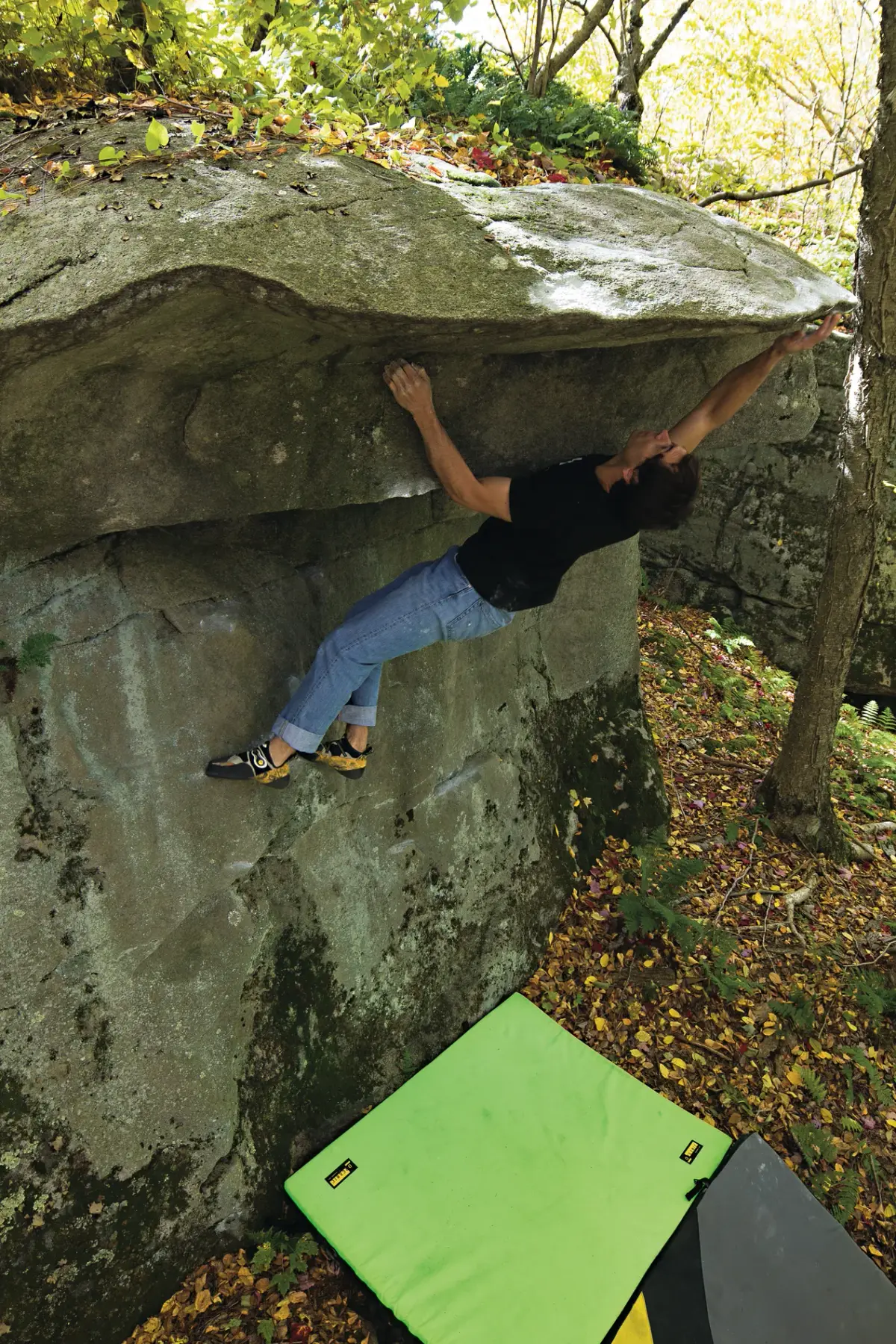Climbing Turtle Roof
