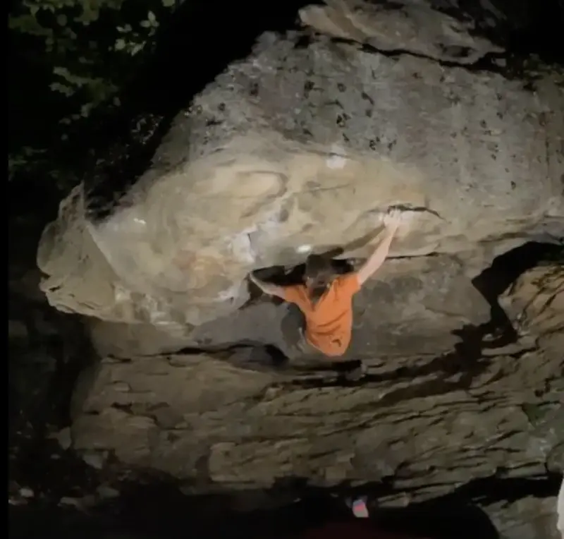 The Tusk